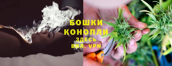 ГАЛЛЮЦИНОГЕННЫЕ ГРИБЫ Балабаново