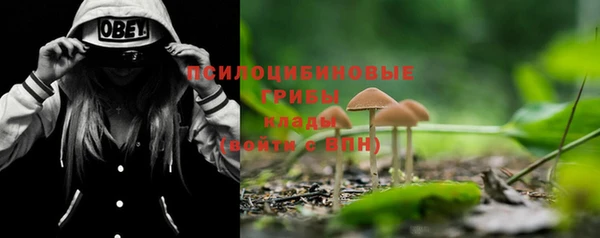 ГАЛЛЮЦИНОГЕННЫЕ ГРИБЫ Балабаново