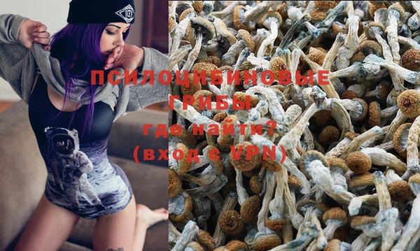 мет Баксан