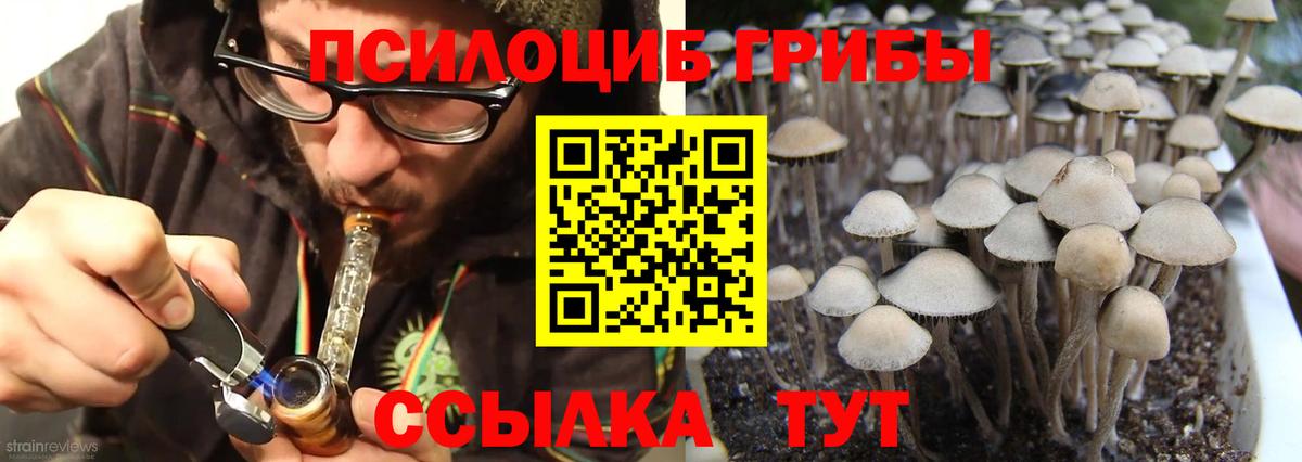 Котельники  Галлюциногенные грибы Psilocybe  магазин    Вход с VPN 